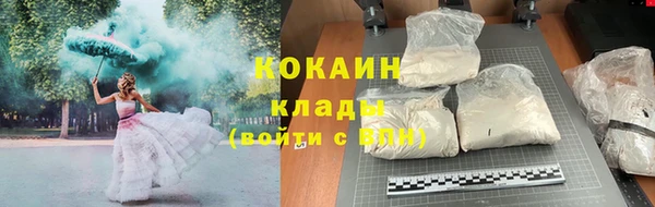 прущие грибы Покров