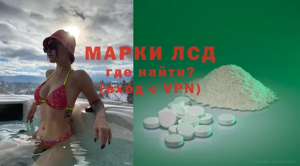 прущие грибы Покров