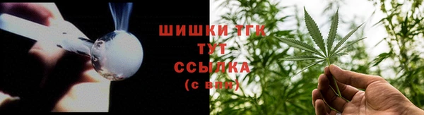 твердый Абаза
