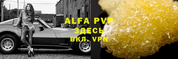твердый Абаза
