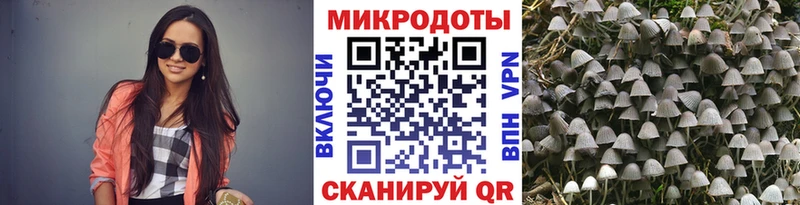 мориарти как зайти  Мамадыш  Галлюциногенные грибы Psilocybe 